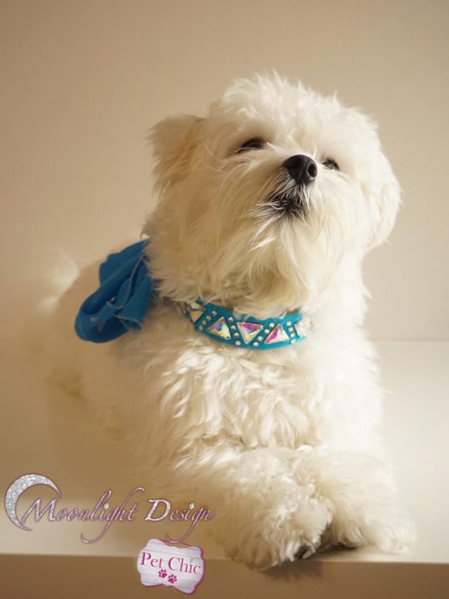 Pet collar with bow, triangle crystals